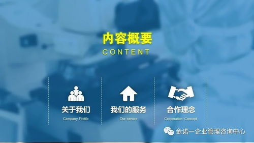 企業(yè)人員管理項目咨詢與信息技術(shù)咨詢服務(wù) 金諾一企業(yè)管理咨詢中心介紹